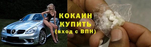 стафф Верея