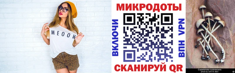 Галлюциногенные грибы Psilocybe Королёв